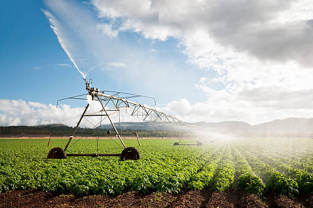 Surface vs. Drip vs. Sprinkler Irrigation: A Comparison of Key Systems